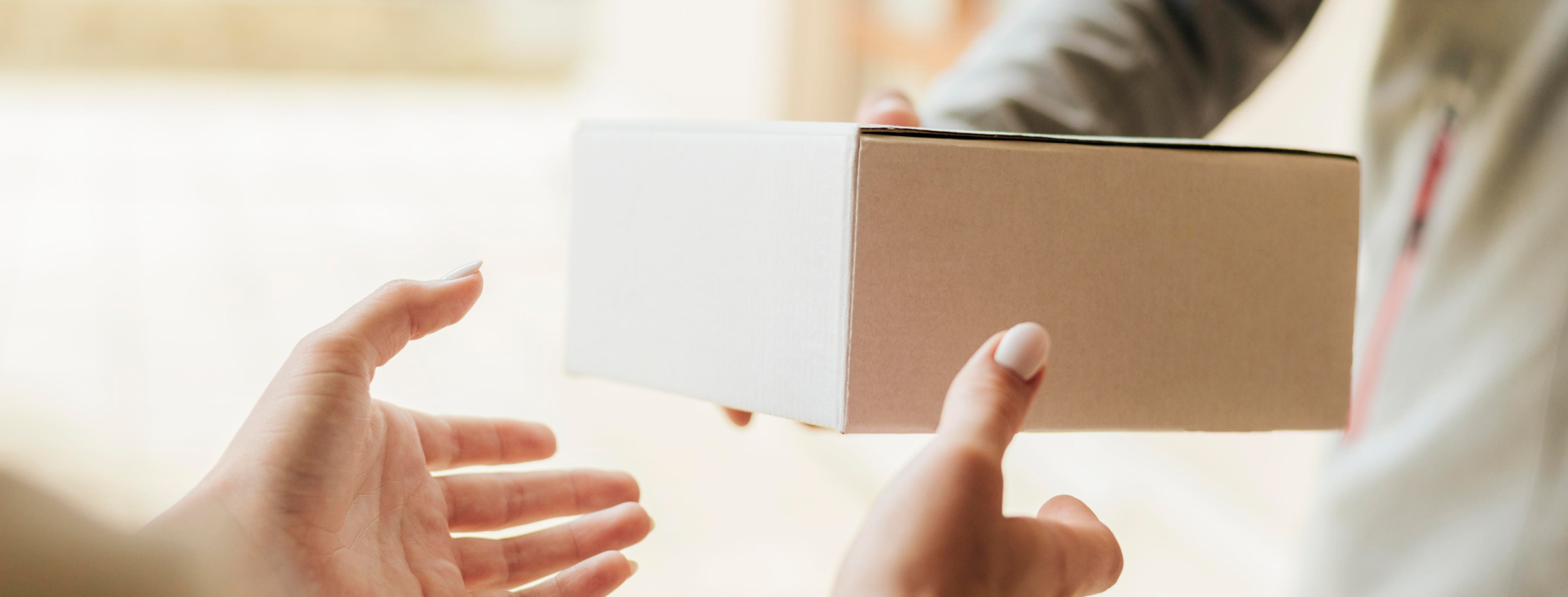 People working on laptops